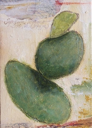 Spotum Sommo 598, M
