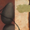 Japanoise- Sepia Series