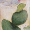 Spotum Sommo 598, M