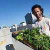 Rooftop Garden Brings Fresh Produce to Community