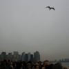 Emigrating to Ellis Island
Personal project
New York, NY