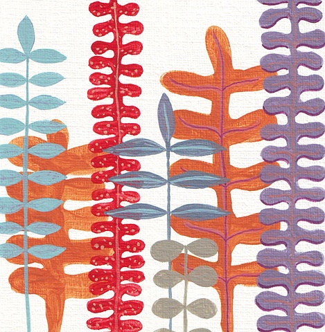 Ferns