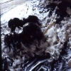 Love Lies Bleeding installation BCA, Co. Clare Ireland