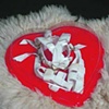Harness 2005