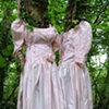Tree Dresses