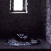 Love Lies Bleeding installation, BCA, Co. Clare Ireland