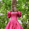 The Botany of Dresses