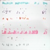 what my schedule sounds like, part 3