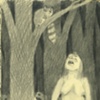 Tree'd Coon