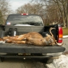6-Point