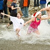 'Penguin Plunge'