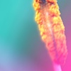Stamen