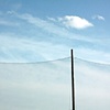 'Open Sky' - Bronx, NY