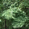 'Irene'