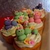 Spring Caterpillars