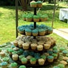 Blue, Green, White Wedding Flower Cupcakes