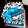 2 tier square zebra with teal