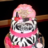 Coach Purse, Make-up, zebra print