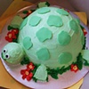 mr. turtle