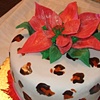 leopard pointsettia
