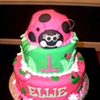 Pink and Green Ladybug