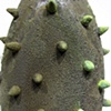 Dormant (detail)