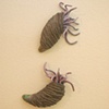 Semper Cupidus (Pair 2)