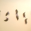 Semper Cupidus