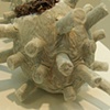 Lentivirinae (detail)