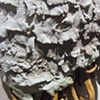 Contagium (detail)
