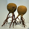 Dormant: A BFA Culminating Exhibition