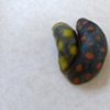 Pate De Verre