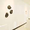 Dolor (installation shot)