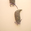 Semper Cupidus (Pair 4)