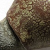 Pestilens (detail)