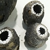 Enudes (detail 2)