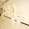 Dolor (installation shot)