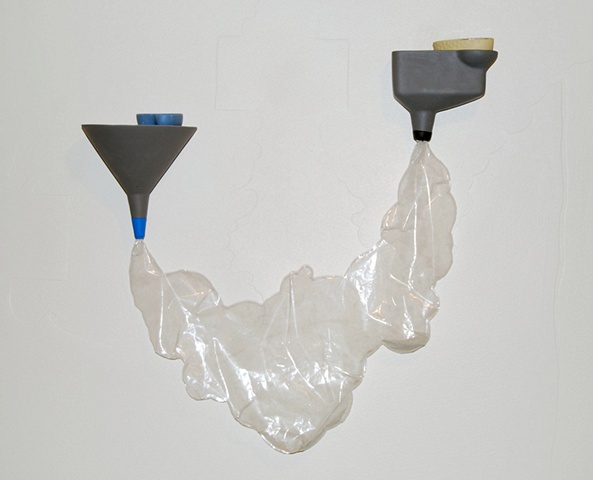 Epidermis Collectors