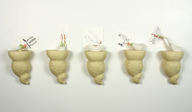 Prosthetic Organs: Five Senses Stimulators