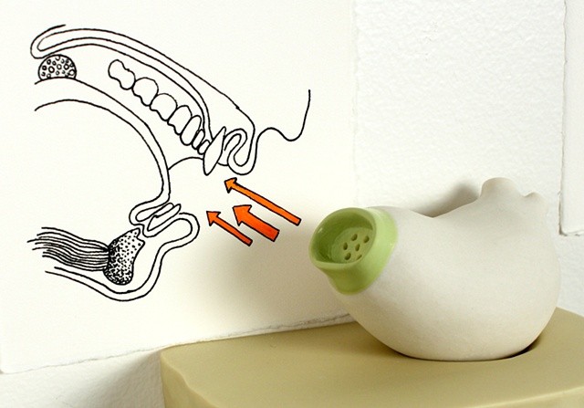 Prosthetic Organs: Five Senses Stimulators