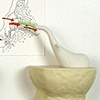 Prosthetic Organs: Five Senses Stimulators