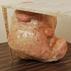 The Inner Life of an Autopsy Table
