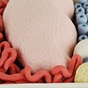 The Lungs We Sit On