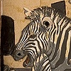 Zebras Gotic