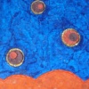 Love on Mars