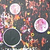 Pink Light (of the Flame Universe)