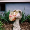 Yard sale.  Ithaca, NY.