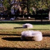 Leaf bags.  Ithaca, NY.