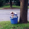 Recycling.  Ithaca, NY.