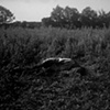 07-29-10, Ben, Danby, NY